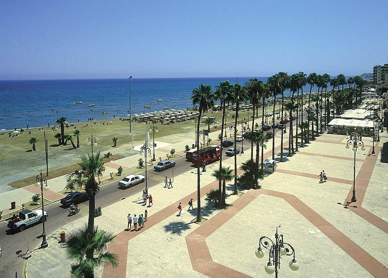 94.Larnaka  Palm Tree Promenade